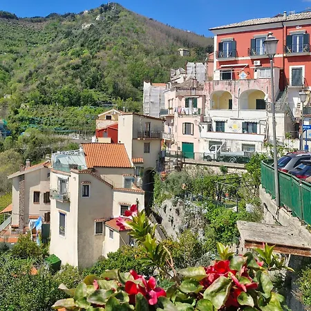 Celeste - Amalfi Coast 펜션 *